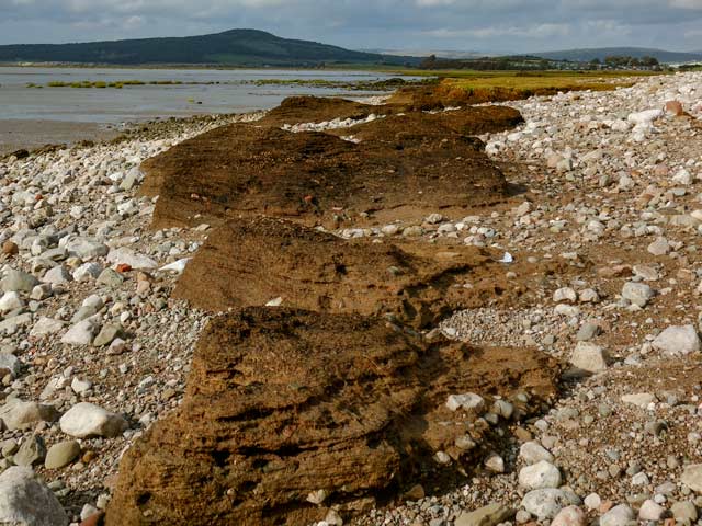 Coastal Erosion features at Red Bank